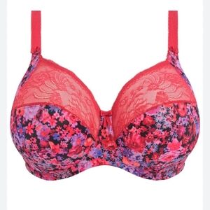 Elomi Morgan Floral Lace Bra Stretch Underwire Full Coverage Support NWT 40G